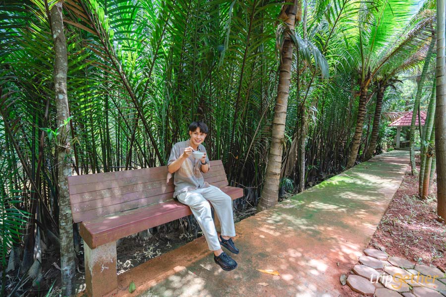 ที่กิน ที่เที่ยวสุราษฎร์ธานี