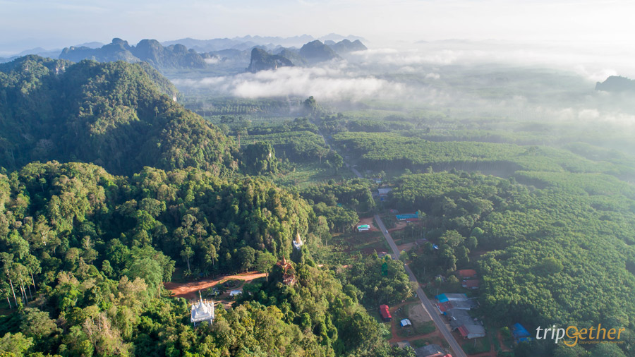 ที่กิน ที่เที่ยวสุราษฎร์ธานี