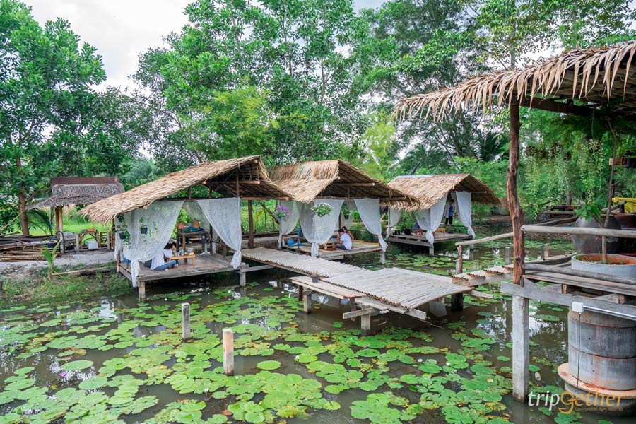 ที่กิน ที่เที่ยวสุราษฎร์ธานี