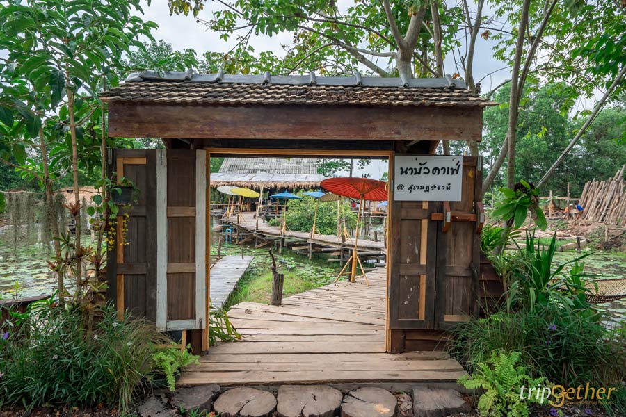 ที่กิน ที่เที่ยวสุราษฎร์ธานี