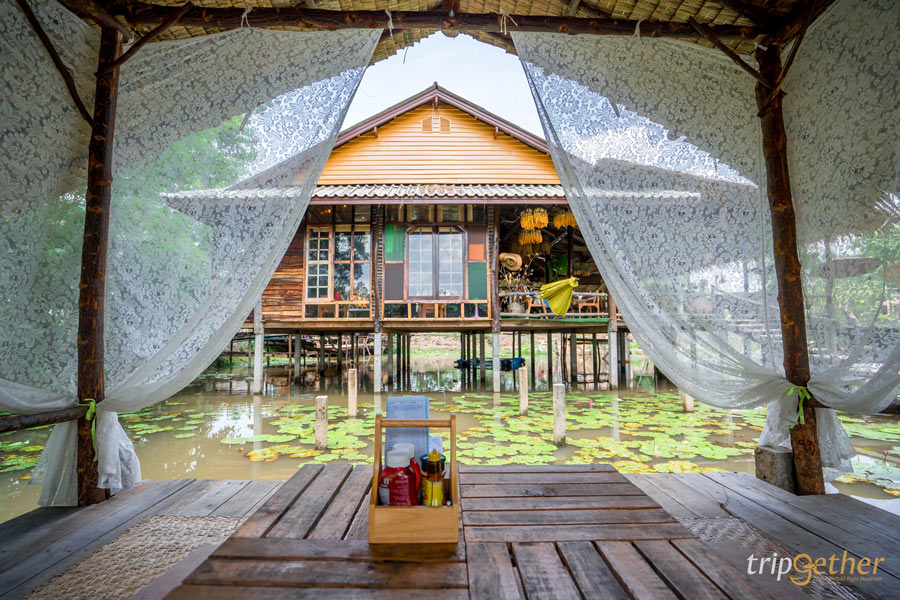 ที่กิน ที่เที่ยวสุราษฎร์ธานี