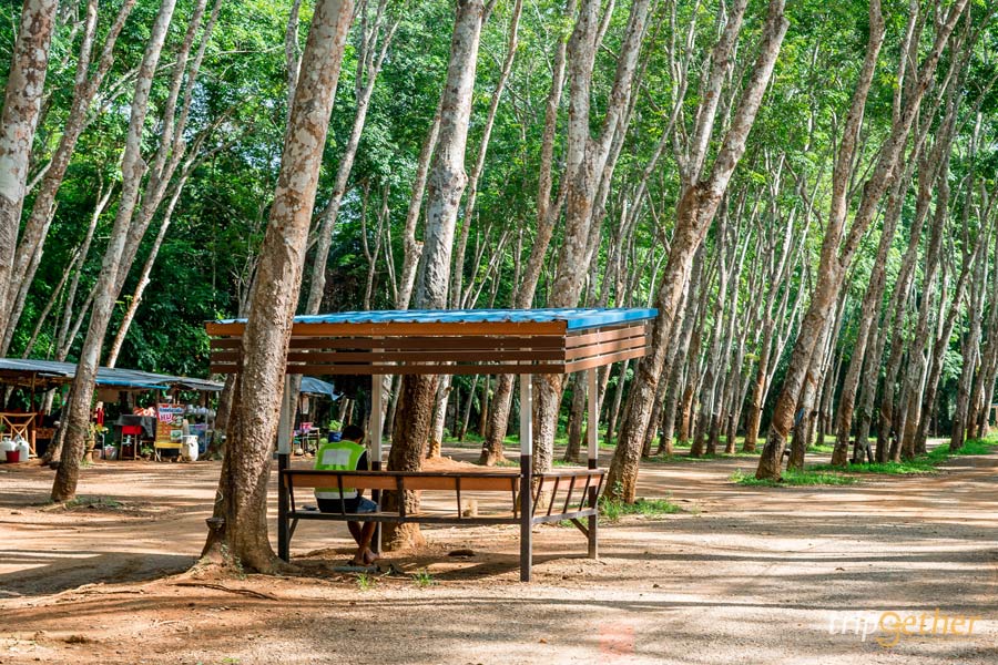 ที่กิน ที่เที่ยวสุราษฎร์ธานี