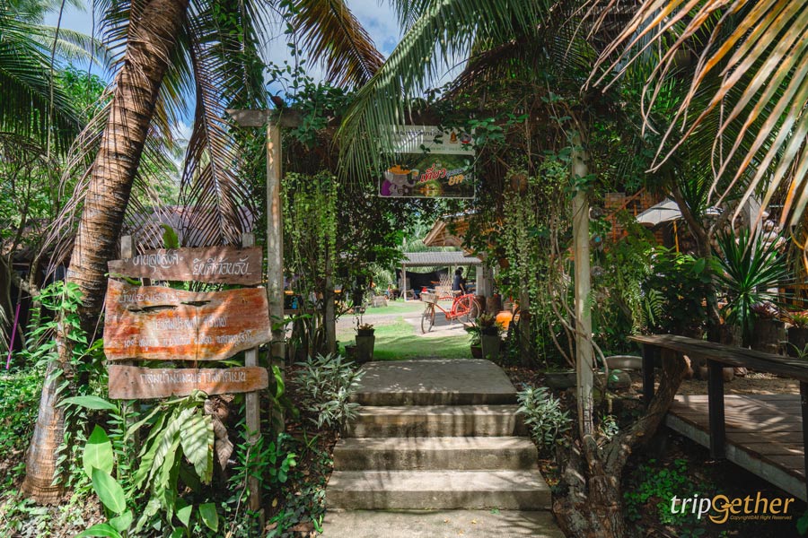 ที่กิน ที่เที่ยวสุราษฎร์ธานี