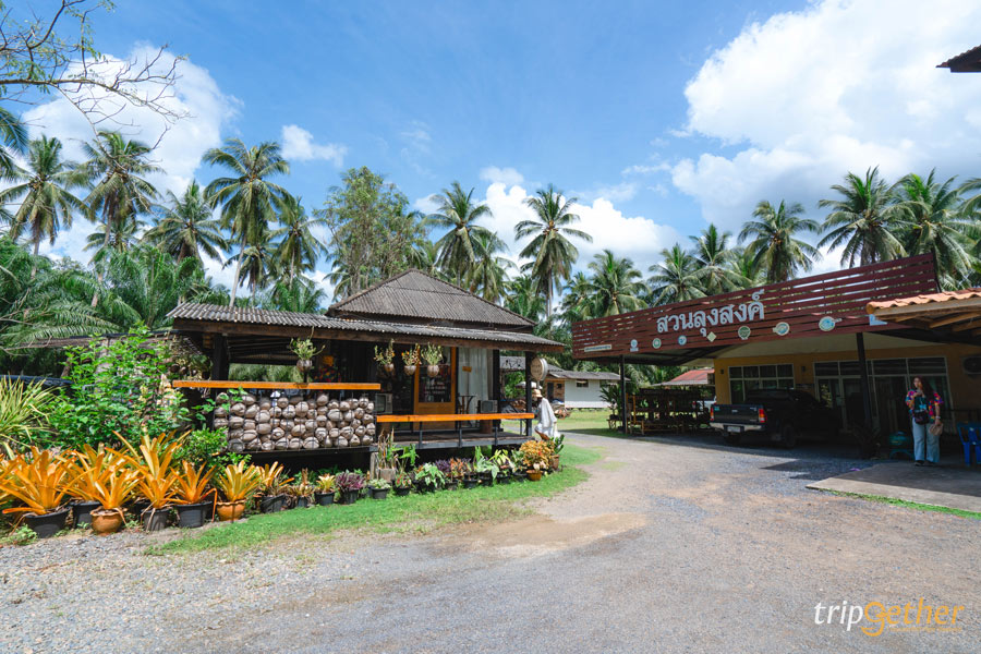 ที่กิน ที่เที่ยวสุราษฎร์ธานี