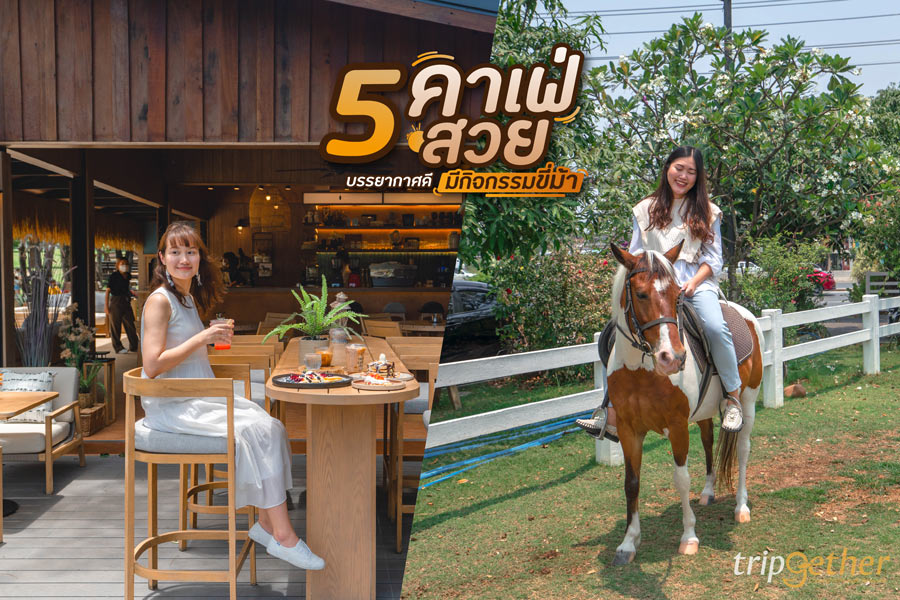 5 คาเฟ่สวย บรรยากาศดี มีกิจกรรมขี่ม้า