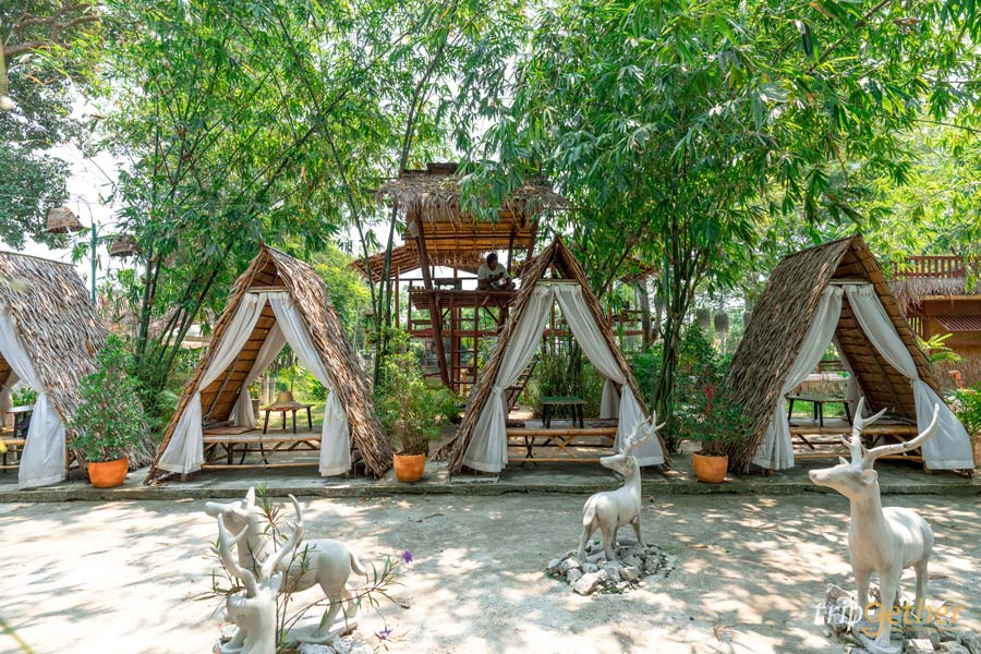 ร้านอาหาร - คาเฟ่ระยอง