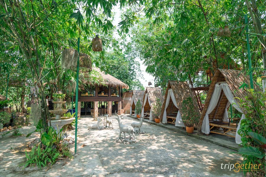 ร้านอาหาร - คาเฟ่ระยอง