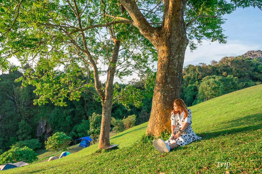 20 ที่เที่ยวภาคเหนือ จุดเช็คอินสวย ใช้เวลาเที่ยวชิลล์ๆ