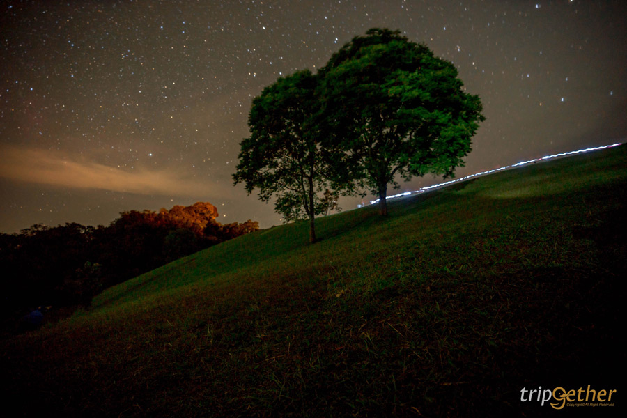 20 ที่เที่ยวภาคเหนือ จุดเช็คอินสวย ใช้เวลาเที่ยวชิลล์ๆ