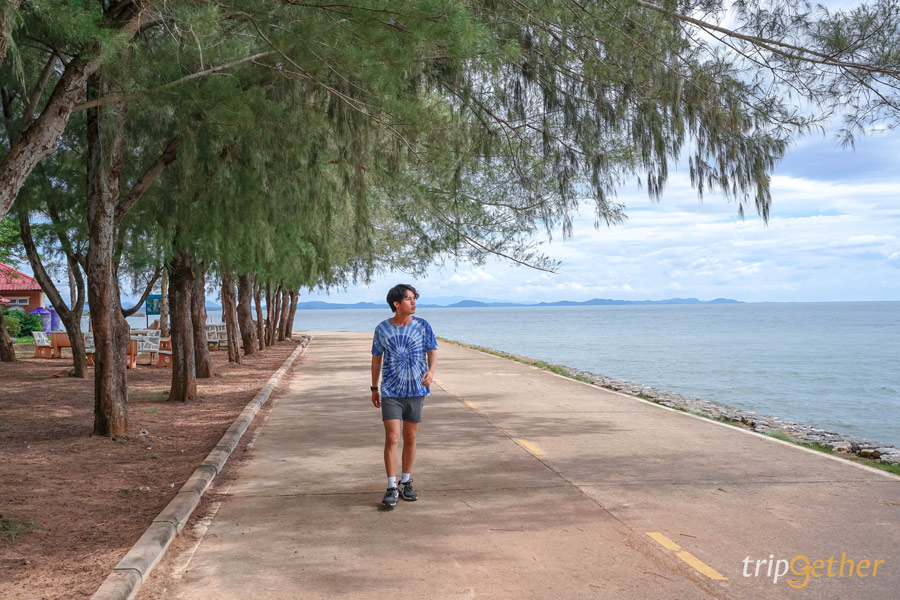 ร้านอาหาร - คาเฟ่ระยอง