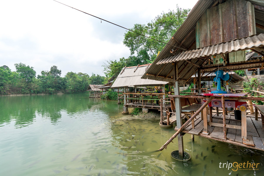 ร้านอาหาร - คาเฟ่ระยอง