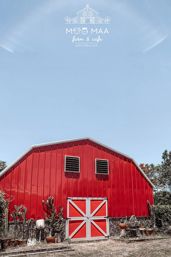 5 คาเฟ่สวย บรรยากาศดี มีกิจกรรมขี่ม้า