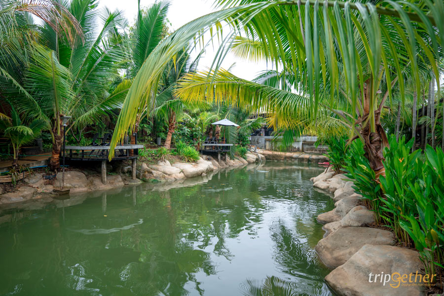 9 คาเฟ่ระยอง กลางธรรมชาติ เอาใจสายนั่งชิลล์