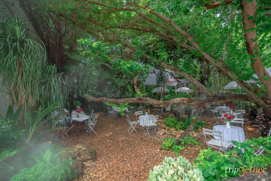 ร้านอาหาร - คาเฟ่ระยอง