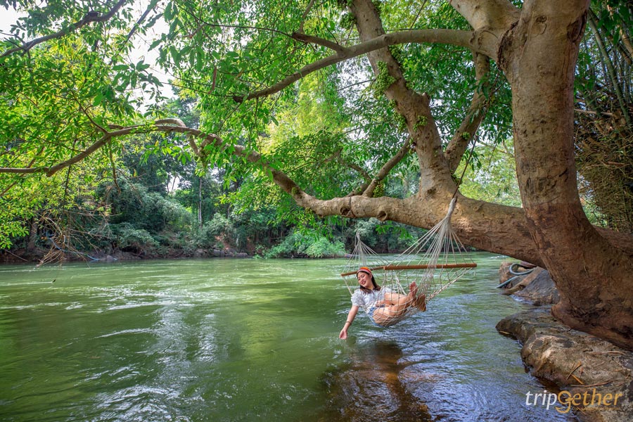 8 ที่พักธรรมชาติใกล้กรุงเทพ นอนรีเฟรช รับความกรีนแบบเน้นๆ