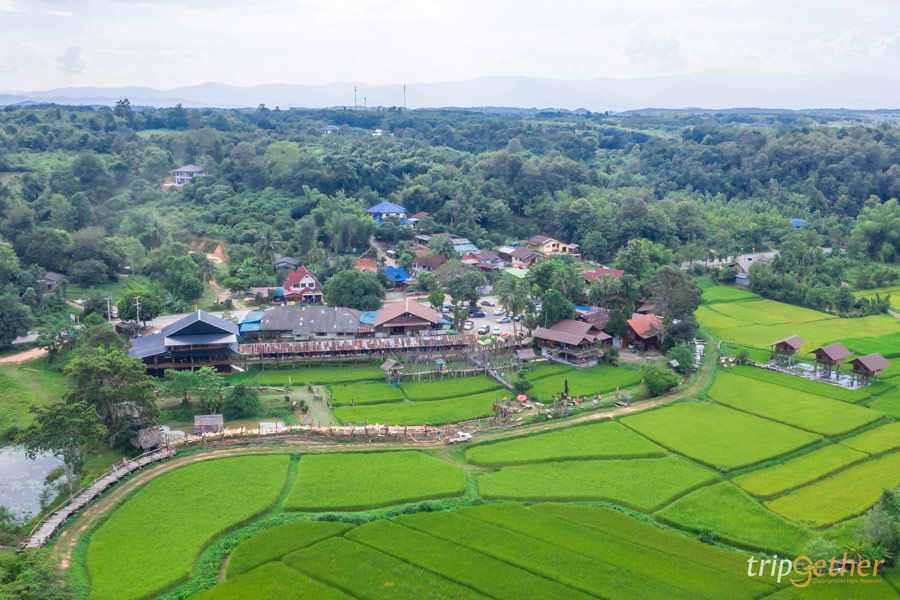 20 ที่เที่ยวภาคเหนือ จุดเช็คอินสวย ใช้เวลาเที่ยวชิลล์ๆ