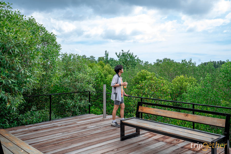 ร้านอาหาร - คาเฟ่ระยอง