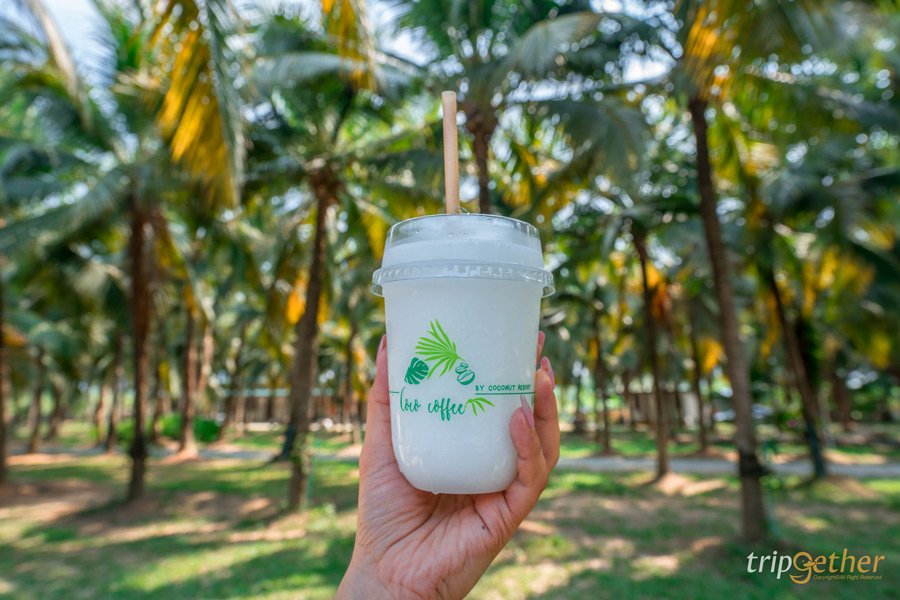 ร้านอาหาร - คาเฟ่ระยอง