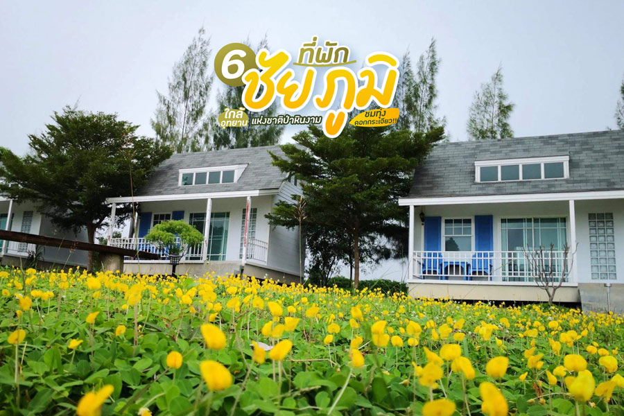 6 ที่พักชัยภูมิ ใกล้อุทยานแห่งชาติป่าหินงาม ชมทุ่งดอกกระเจียว!!