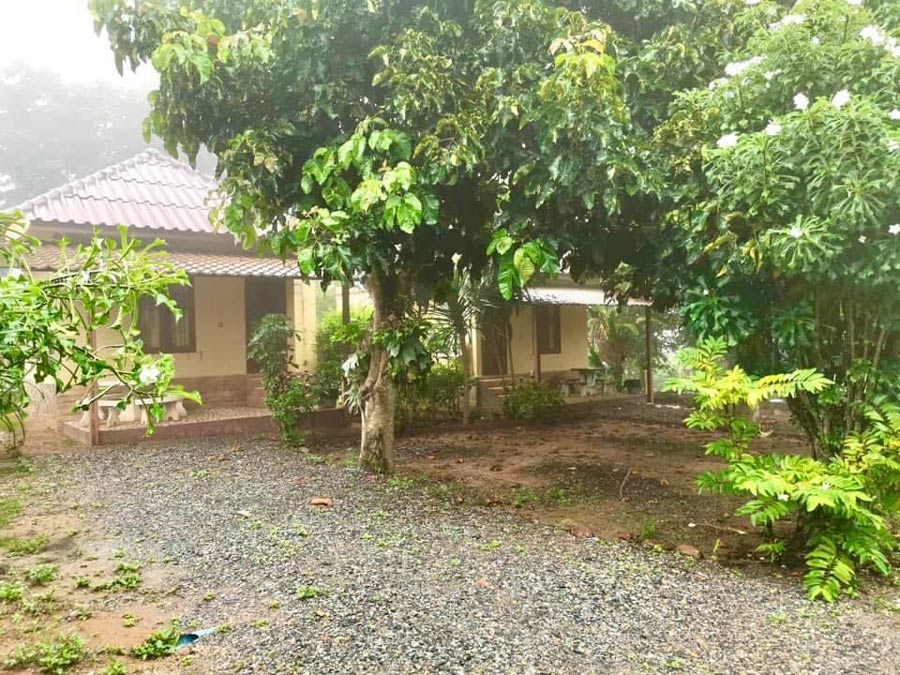 6 ที่พักชัยภูมิ ใกล้อุทยานแห่งชาติป่าหินงาม ชมทุ่งดอกกระเจียว!!