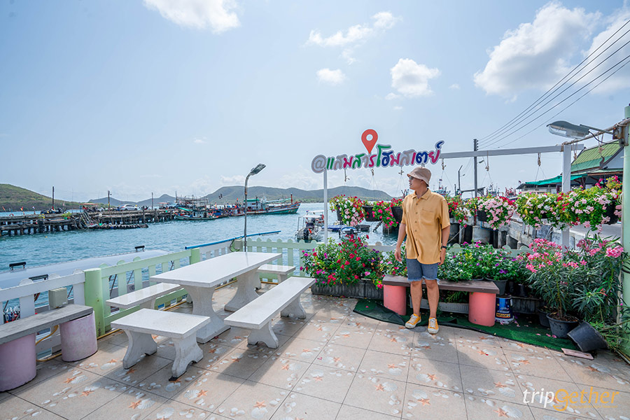 5 ที่พักชลบุรี ริมทะเล พักผ่อนชิลล์ๆ พร้อมดำน้ำ - ตกหมึก