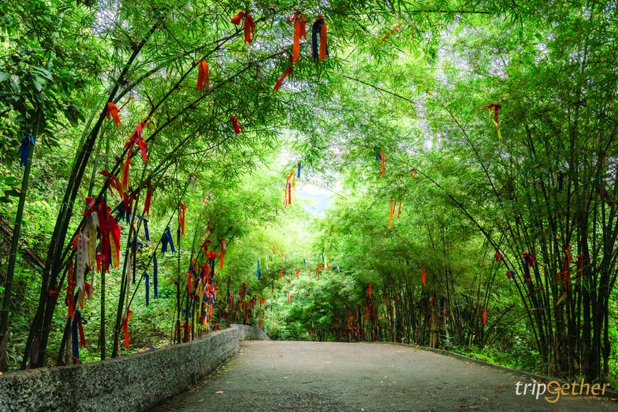 15 ที่เที่ยวสไตล์ญี่ปุ่นทั่วไทย ถ่ายรูปสวย เที่ยวได้ทุกวัย!