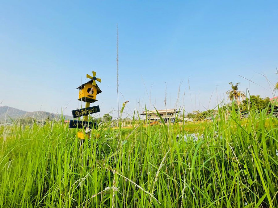 7 ร้านอาหารหัวหิน ชะอำ จัดเต็มความอร่อย ที่ไม่ควรพลาด