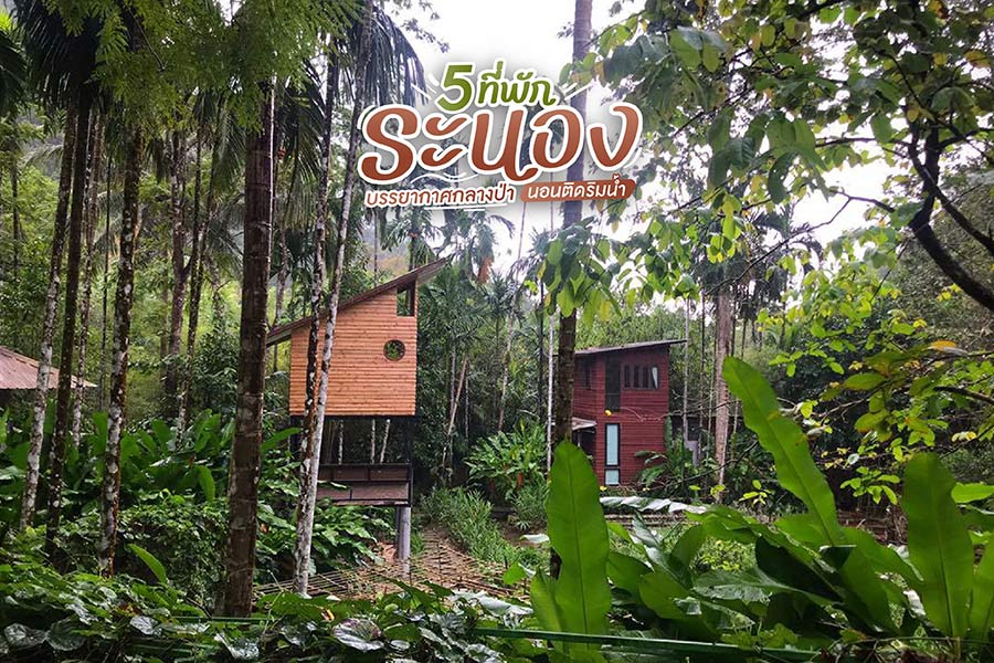 5 ที่พักระนอง บรรยากาศกลางป่า นอนติดริมน้ำ