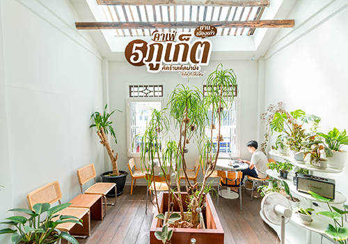 5 คาเฟ่ภูเก็ต ย่านเมืองเก่า คัดร้านเด็ดน่านั่งที่ต้องไปเช็คอิน