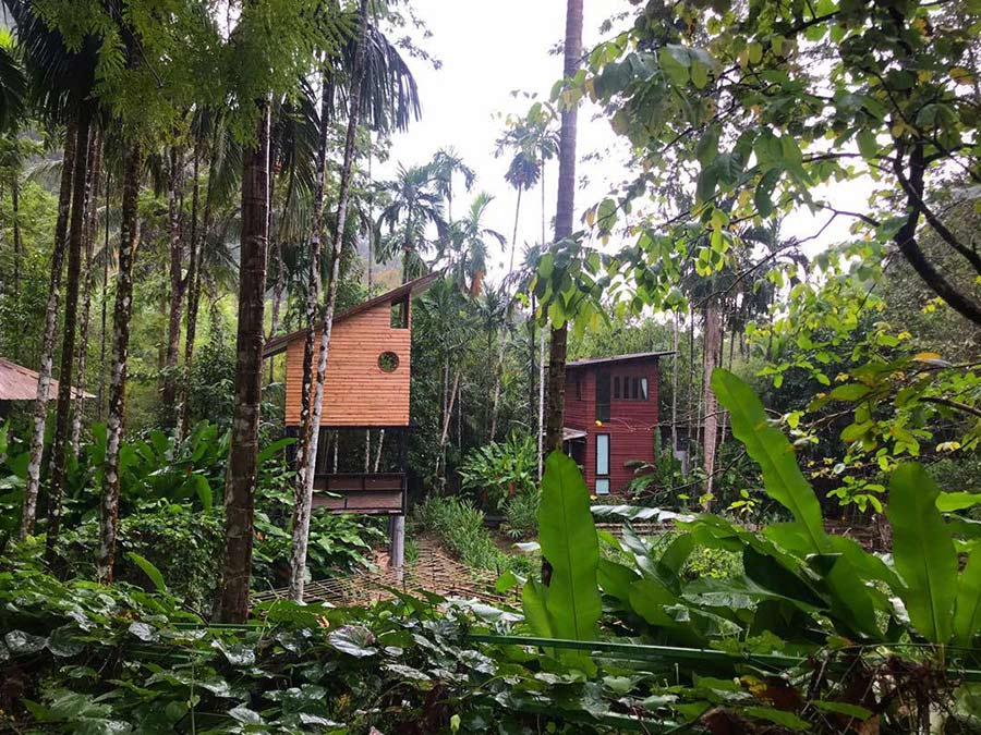 5 ที่พักระนอง บรรยากาศกลางป่า นอนติดริมน้ำ