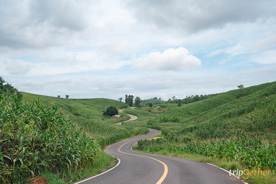 15 ที่กิน ที่เที่ยวตาก เช็คอินสถานที่สวย ท่ามกลางธรรมชาติ