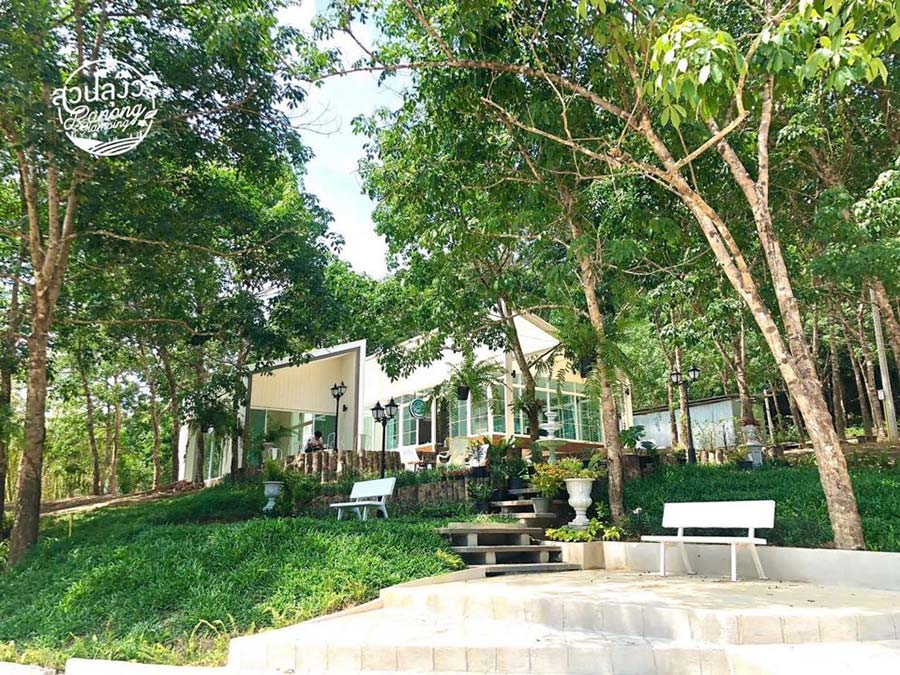 5 ที่พักระนอง บรรยากาศกลางป่า นอนติดริมน้ำ