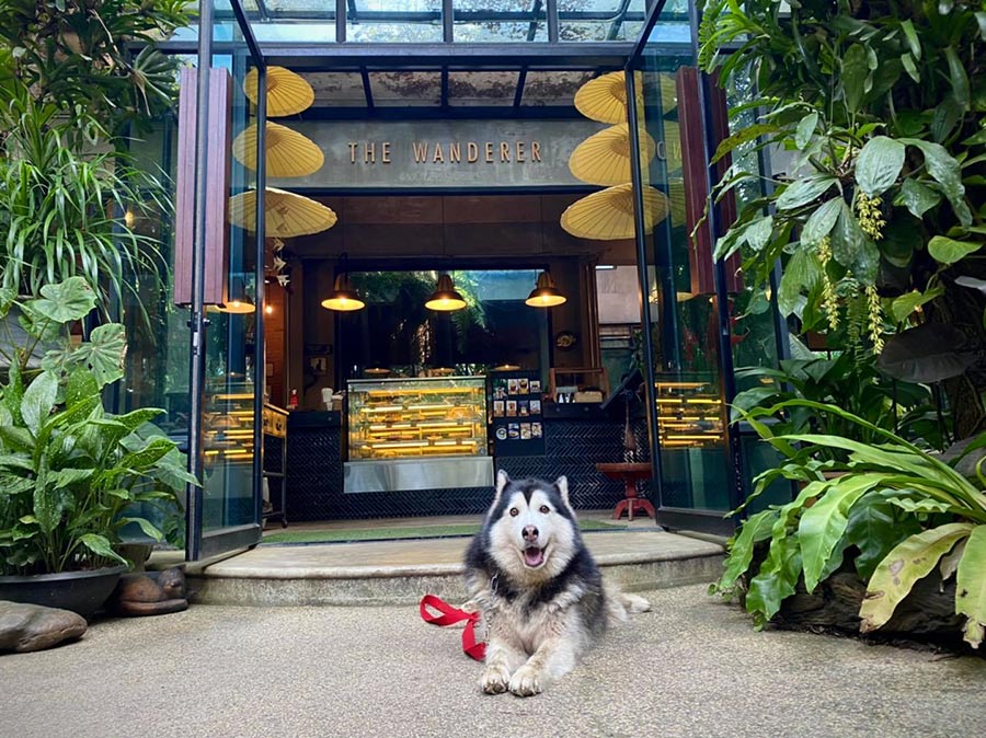 5 คาเฟ่เชียงราย เดินทางง่ายๆ ในเมือง บรรยากาศน่ารัก