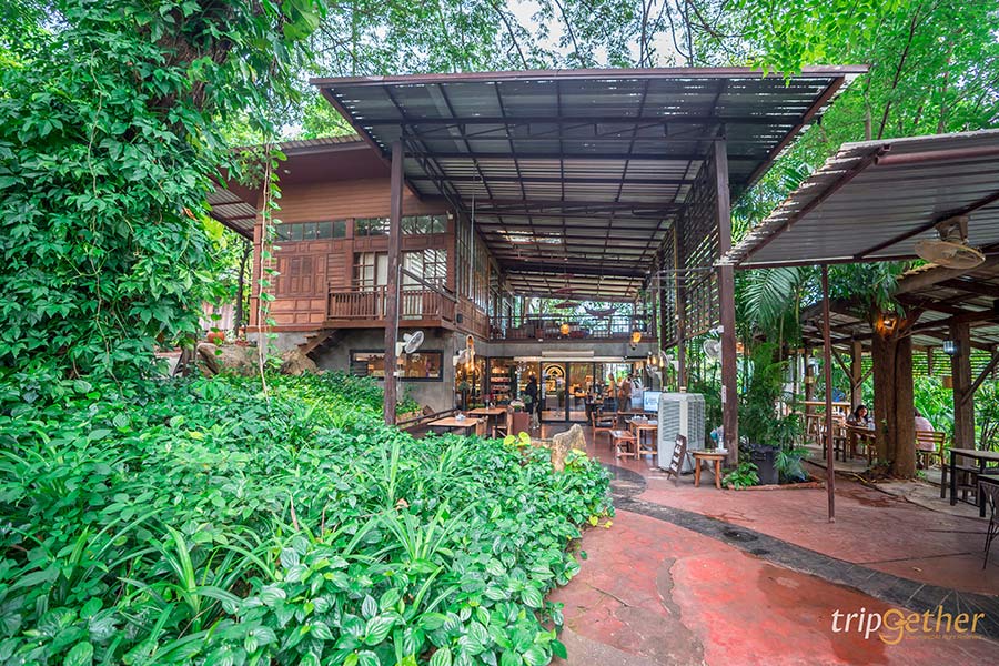 6 คาเฟ่ - ร้านอาหารตาก คัดร้านอร่อย เด็ดจริงจนต้องไปซ้ำ!