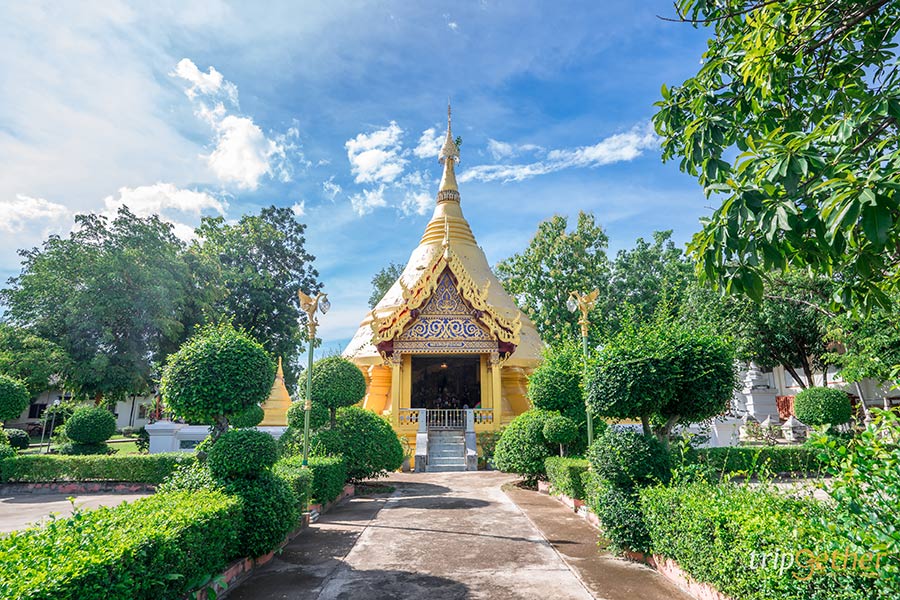 15 ที่กิน ที่เที่ยวตาก เช็คอินสถานที่สวย ท่ามกลางธรรมชาติ