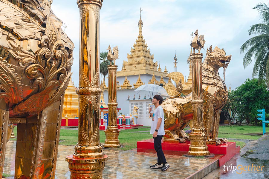 15 ที่กิน ที่เที่ยวตาก เช็คอินสถานที่สวย ท่ามกลางธรรมชาติ