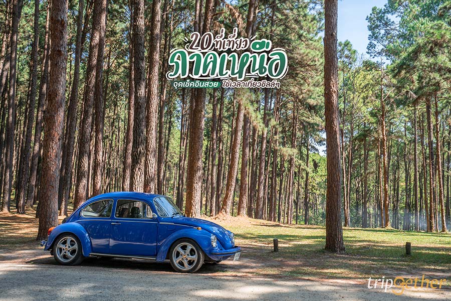 20 ที่เที่ยวภาคเหนือ จุดเช็คอินสวย ใช้เวลาเที่ยวชิลล์ๆ