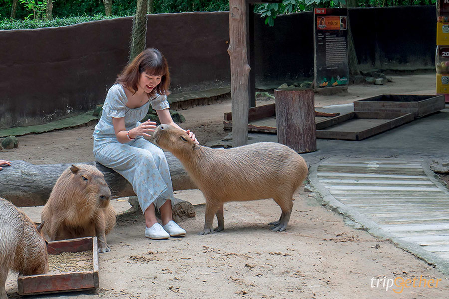 ที่เที่ยวครอบครัว