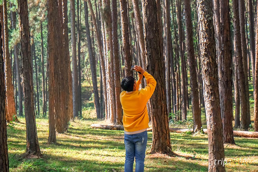 20 ที่เที่ยวภาคเหนือ จุดเช็คอินสวย ใช้เวลาเที่ยวชิลล์ๆ