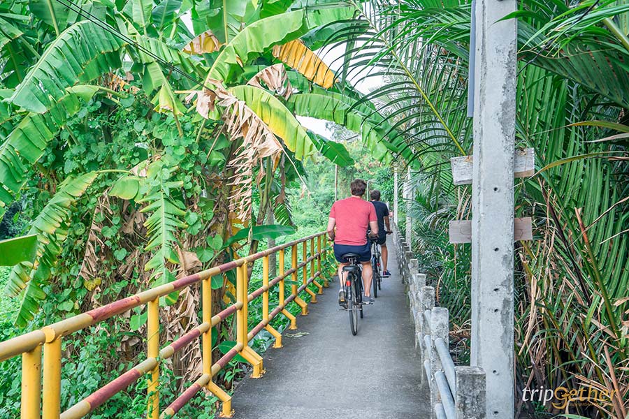 7 ที่เที่ยว น่าปั่นจักรยานเล่น ออกกำลังกาย ชมวิวสบายๆ