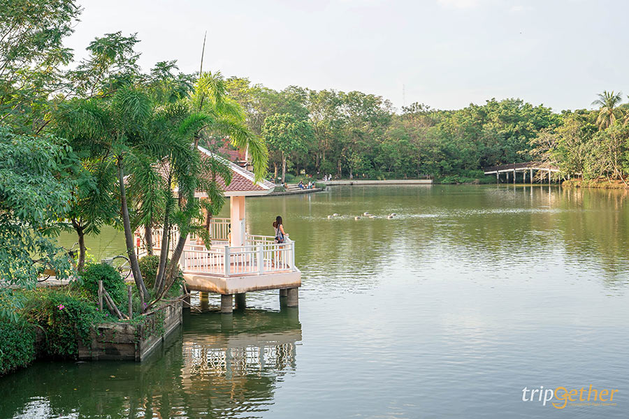 7 ที่เที่ยว น่าปั่นจักรยานเล่น ออกกำลังกาย ชมวิวสบายๆ