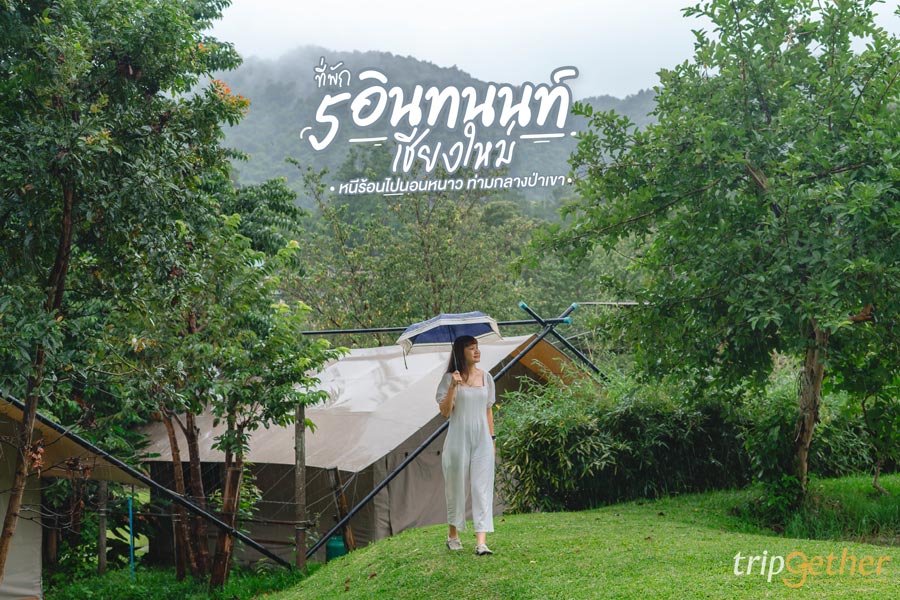 5 ที่พักดอยอินทนนท์ เชียงใหม่ หนีร้อนไปนอนหนาว ท่ามกลางป่าเขา