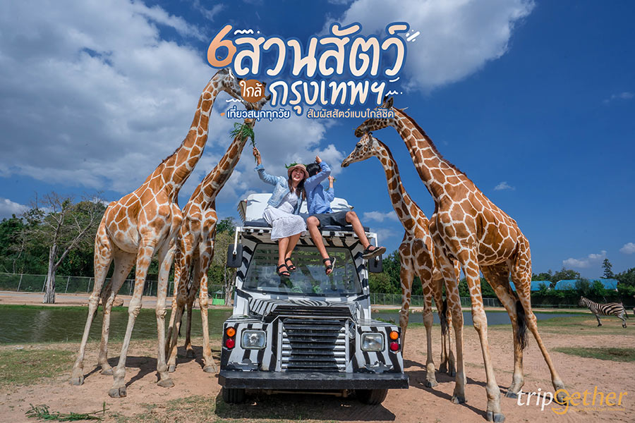 6 สวนสัตว์ใกล้กรุงเทพฯ เที่ยวสนุกทุกวัย สัมผัสสัตว์แบบใกล้ชิด