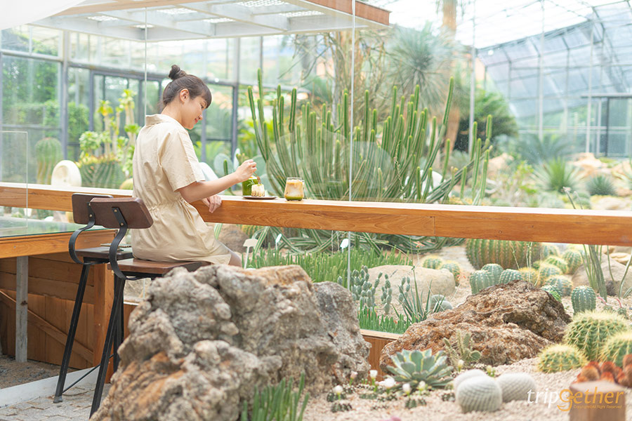 คาเฟ่ในสวน กรุงเทพ