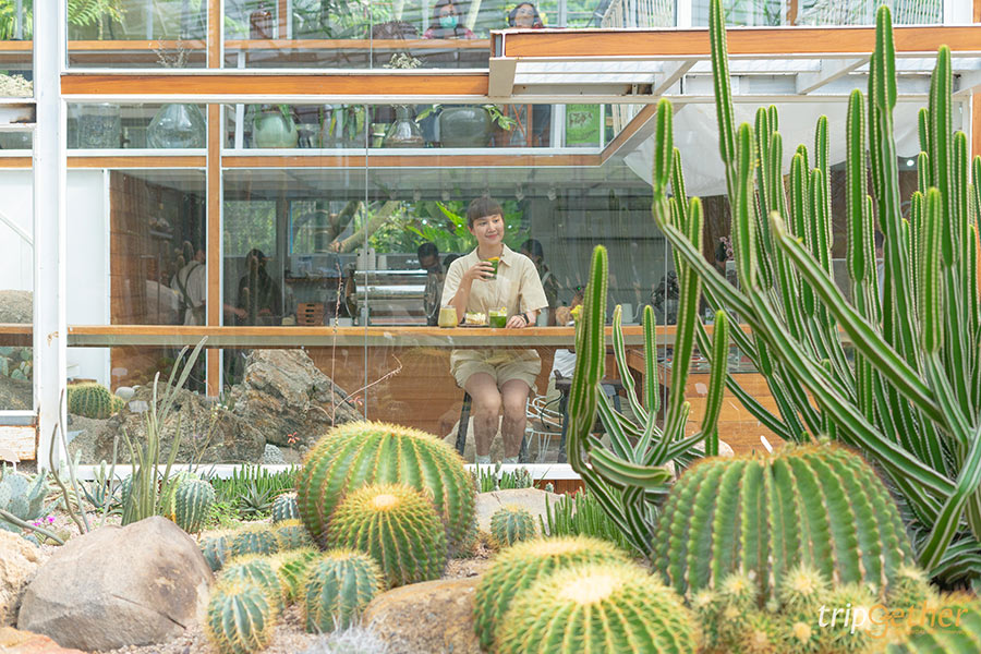 คาเฟ่ในสวน กรุงเทพ