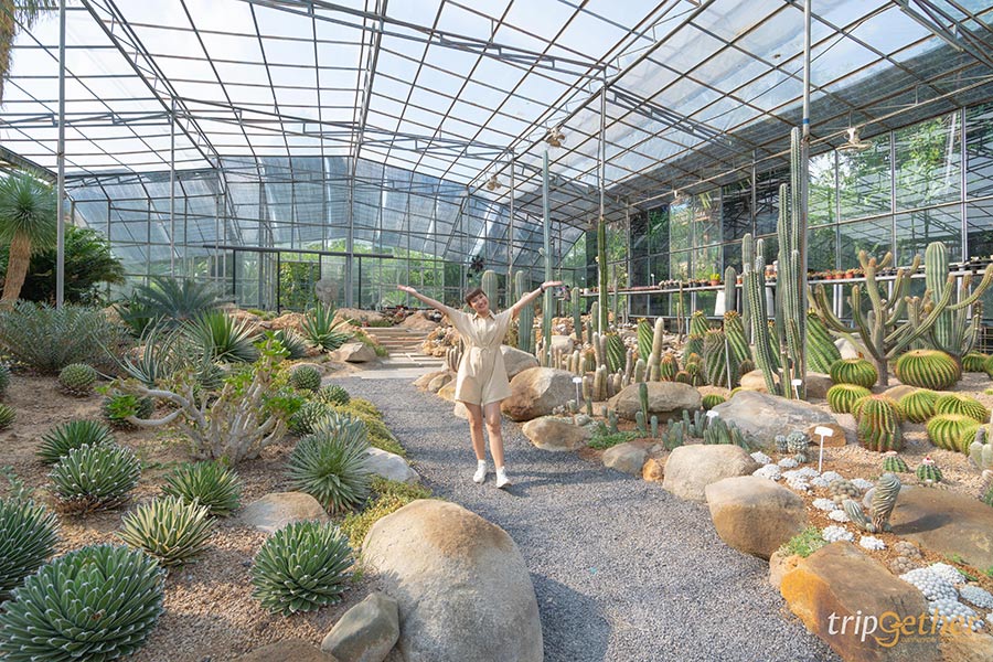 คาเฟ่ในสวน กรุงเทพ