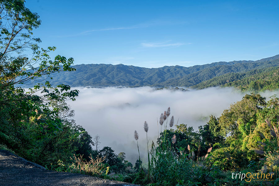 7 เส้นทางสายโรแมนติก ฟีลดี วิวปัง น่าพาแฟนไปเที่ยว