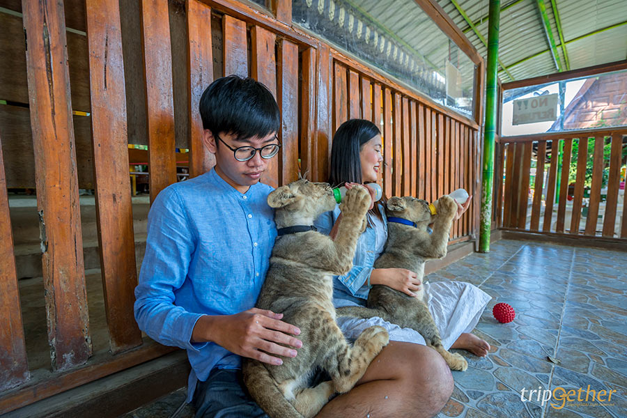 6 สวนสัตว์ใกล้กรุงเทพฯ เที่ยวสนุกทุกวัย สัมผัสสัตว์แบบใกล้ชิด