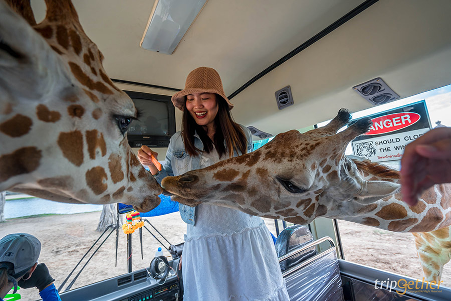 6 สวนสัตว์ใกล้กรุงเทพฯ เที่ยวสนุกทุกวัย สัมผัสสัตว์แบบใกล้ชิด