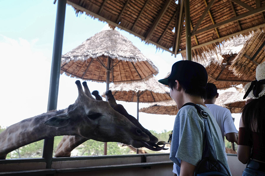 6 สวนสัตว์ใกล้กรุงเทพฯ เที่ยวสนุกทุกวัย สัมผัสสัตว์แบบใกล้ชิด